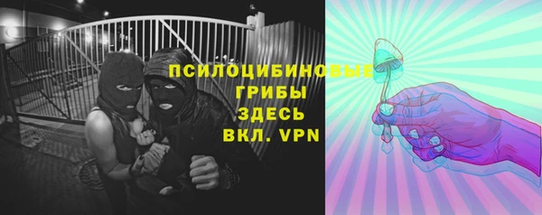 сатива Богородицк