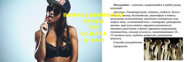 сатива Богородицк