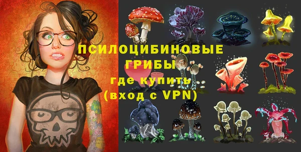 сатива Богородицк
