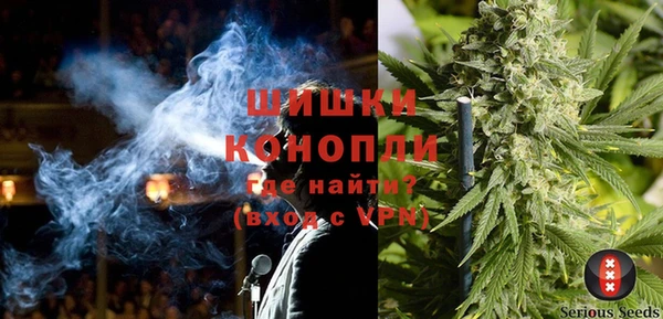 сатива Богородицк