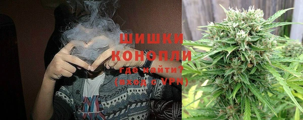 метадон Богданович