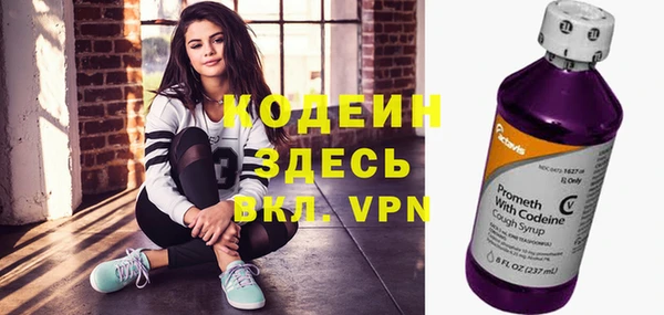 метадон Богданович