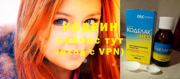 метадон Богданович