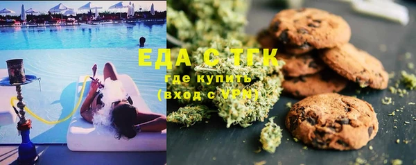 метадон Богданович
