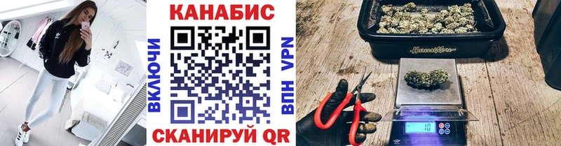 где продают наркотики  Бийск  Бошки марихуана ГИДРОПОН 